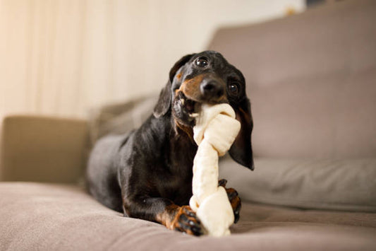 DOG BONE MOUNT